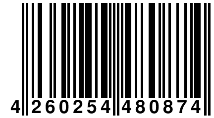 4 260254 480874