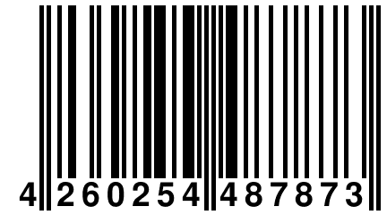 4 260254 487873