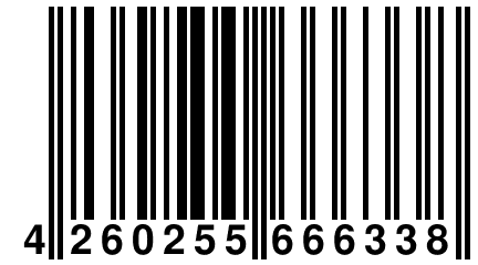 4 260255 666338