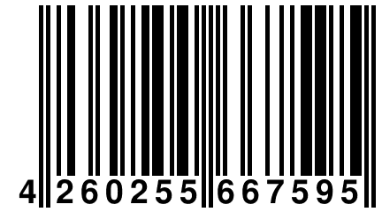 4 260255 667595