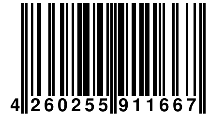 4 260255 911667