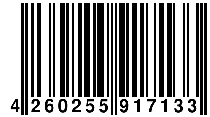 4 260255 917133