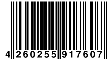 4 260255 917607