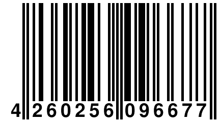 4 260256 096677