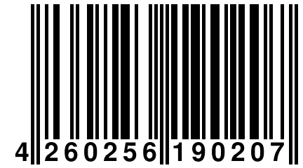 4 260256 190207