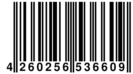 4 260256 536609