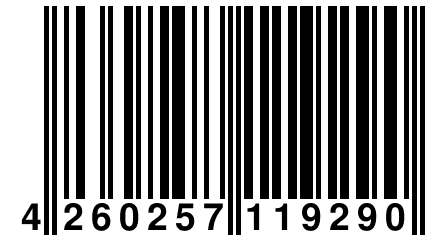 4 260257 119290