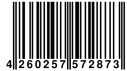 4 260257 572873