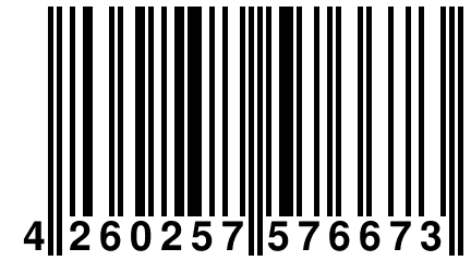 4 260257 576673