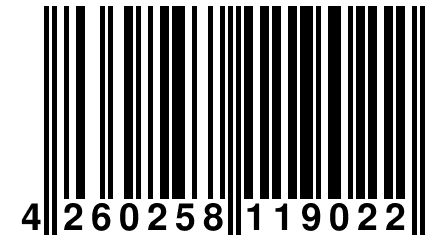 4 260258 119022