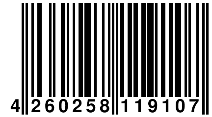 4 260258 119107