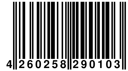 4 260258 290103