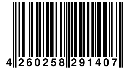 4 260258 291407