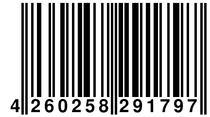 4 260258 291797