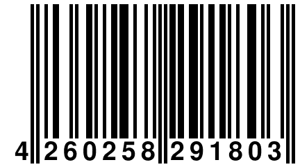 4 260258 291803