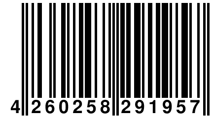 4 260258 291957