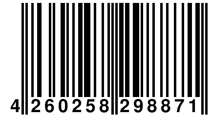 4 260258 298871