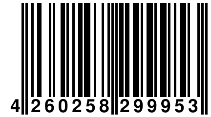 4 260258 299953