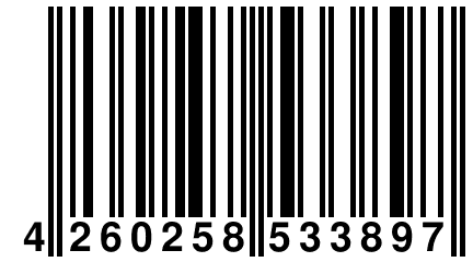 4 260258 533897