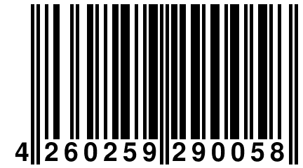 4 260259 290058