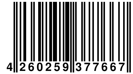 4 260259 377667