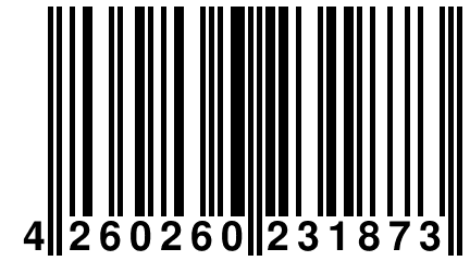 4 260260 231873