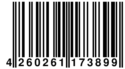 4 260261 173899