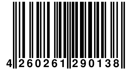 4 260261 290138