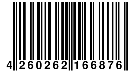 4 260262 166876