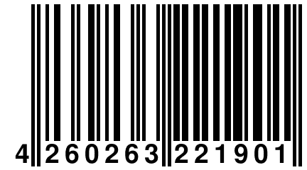 4 260263 221901