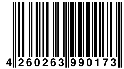 4 260263 990173