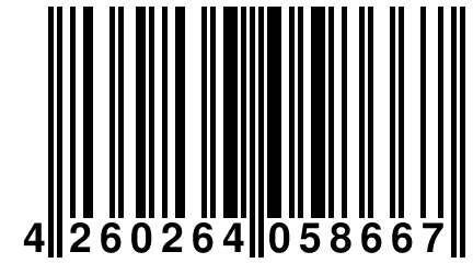 4 260264 058667