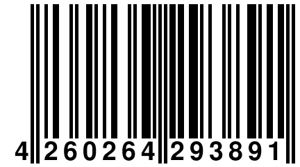 4 260264 293891