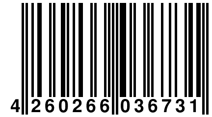 4 260266 036731