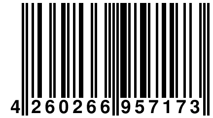 4 260266 957173