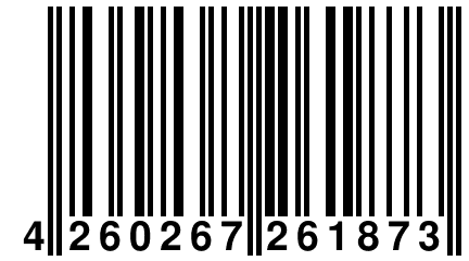 4 260267 261873