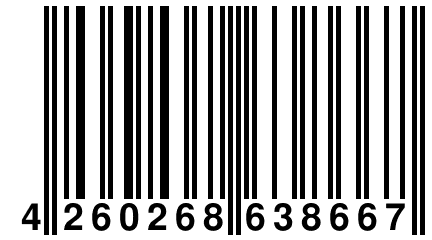 4 260268 638667