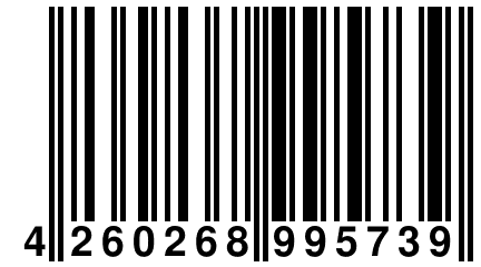 4 260268 995739