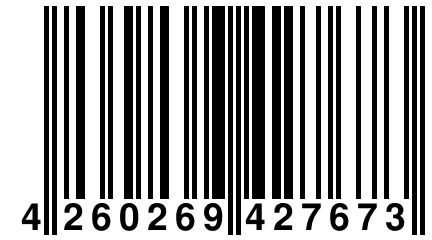 4 260269 427673