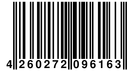 4 260272 096163