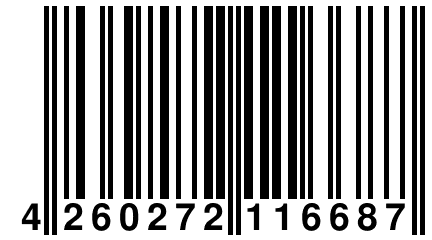 4 260272 116687