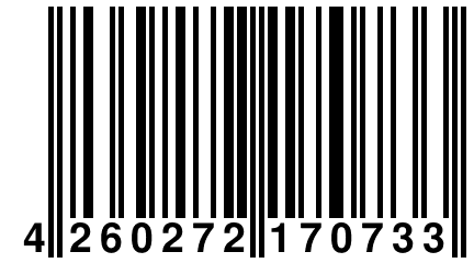 4 260272 170733