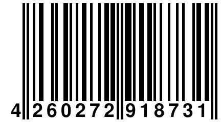 4 260272 918731