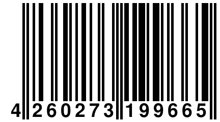 4 260273 199665