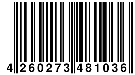 4 260273 481036