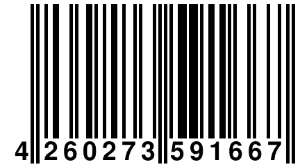 4 260273 591667