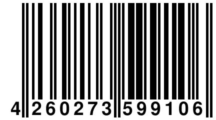 4 260273 599106