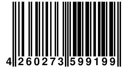 4 260273 599199