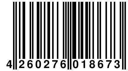 4 260276 018673