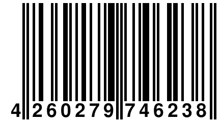 4 260279 746238